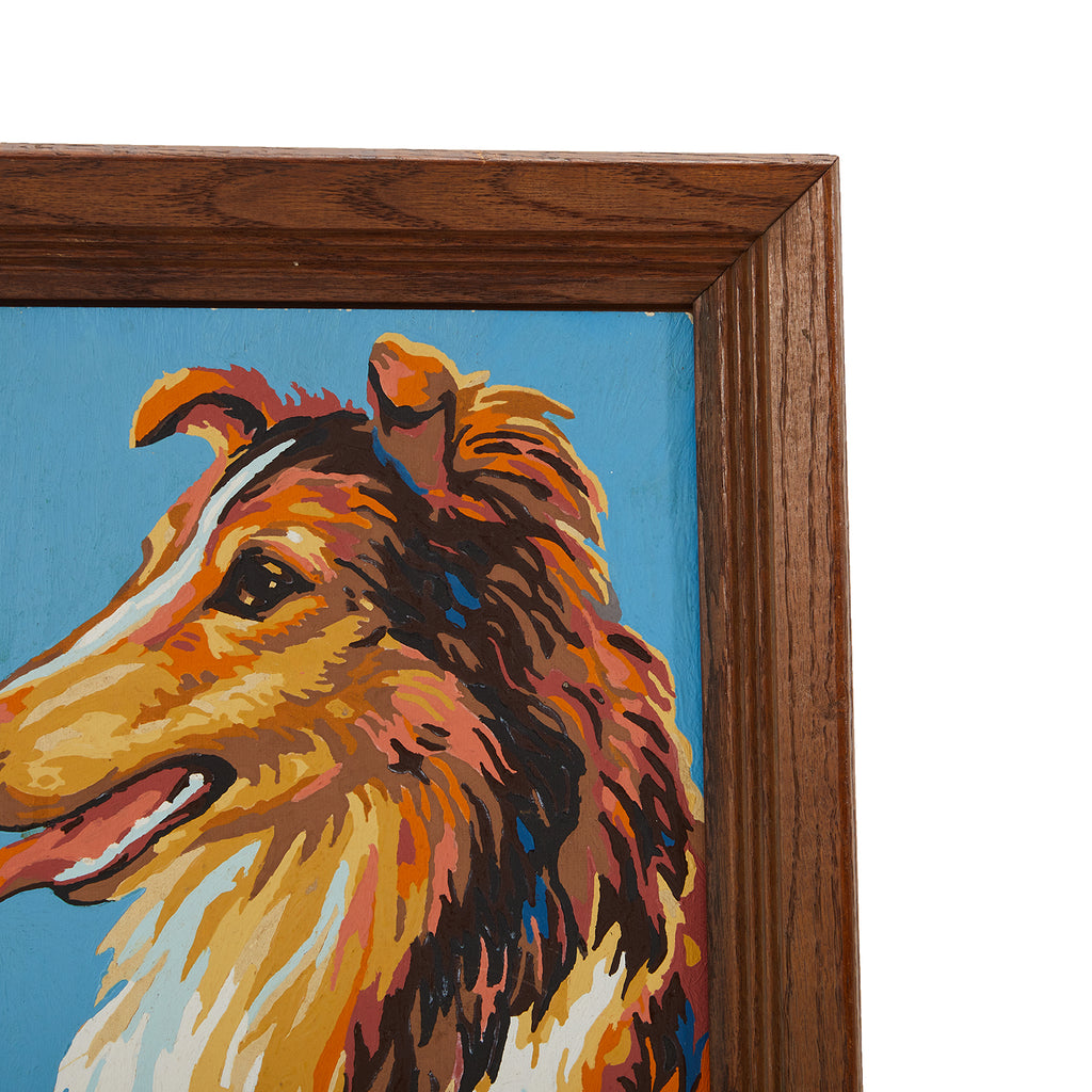 00.16 (A+D) PBN Collie Dog Portrait