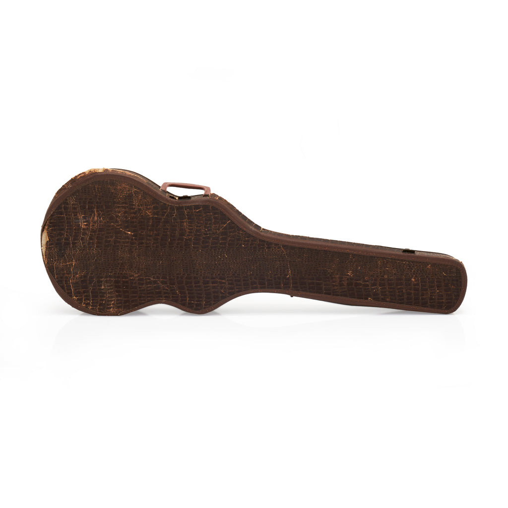 Brown Alligator Skin Guitar Case