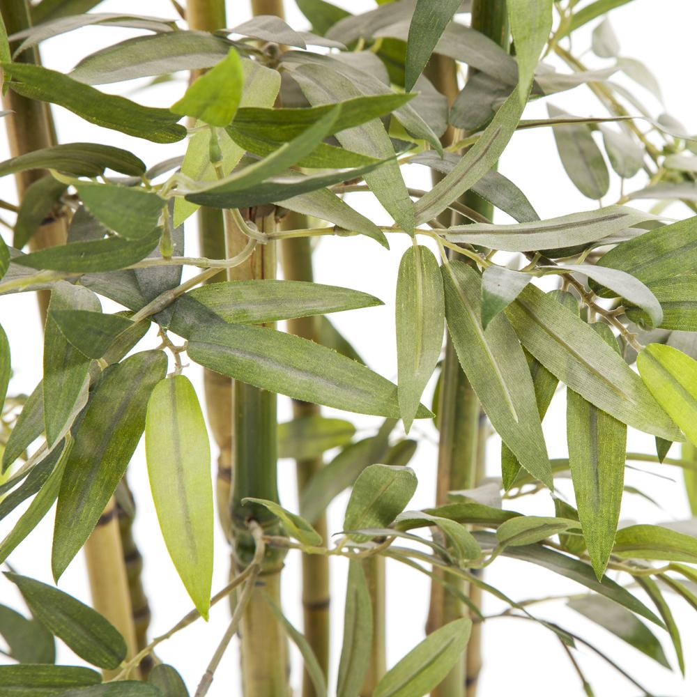 Bamboo Table Plant