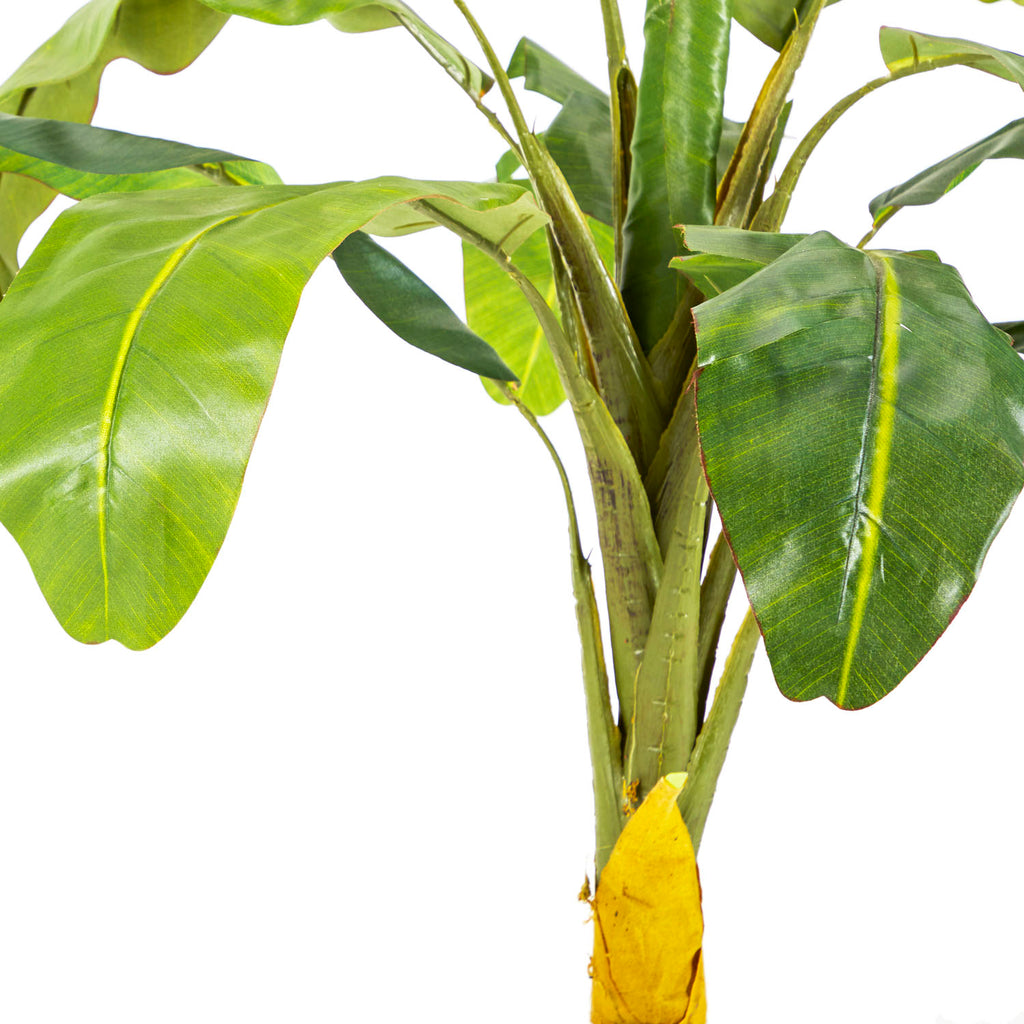 Faux Banana Plant