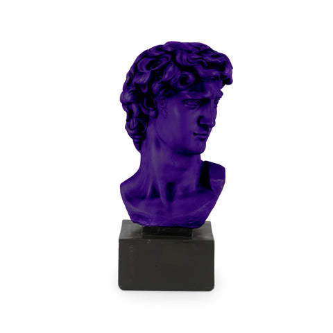 Purple David of Michelangelo Bust