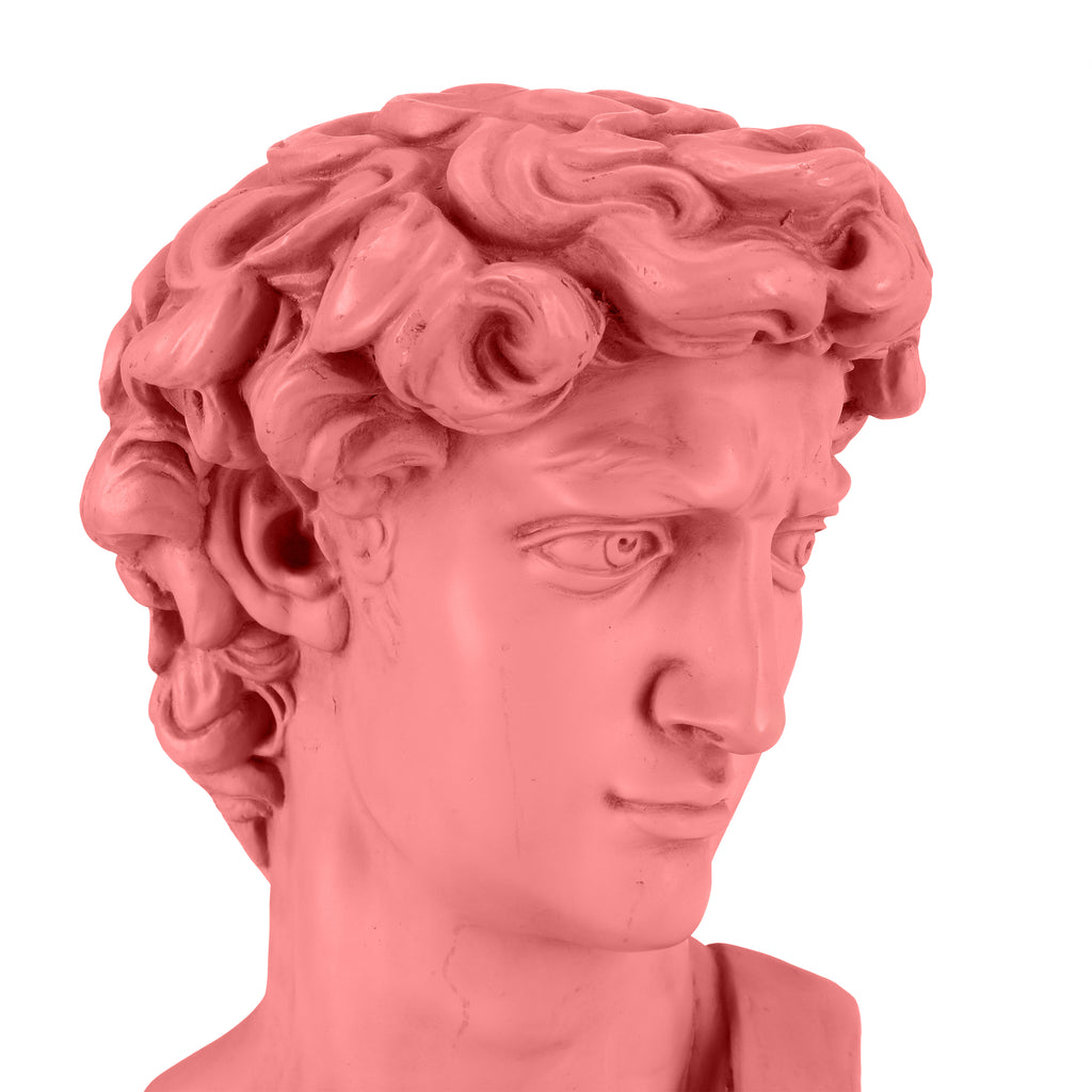 Pink David of Michelangelo Bust