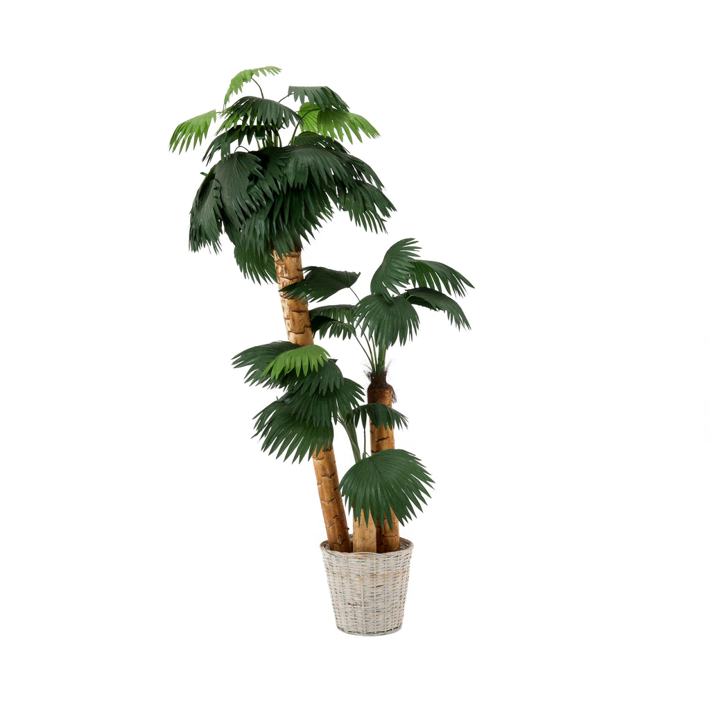 Faux Palm Tree in Wicker Planter #3