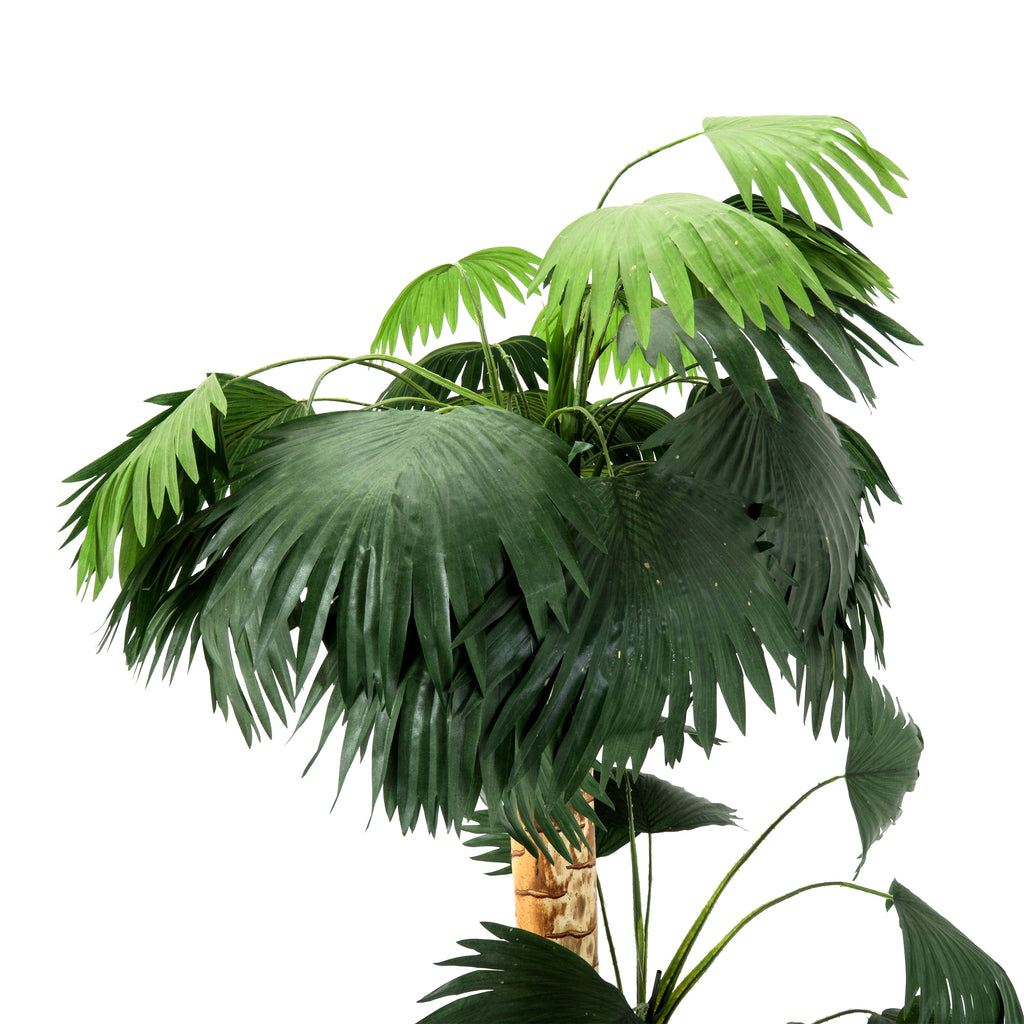 Faux Palm Tree in Wicker Planter #3