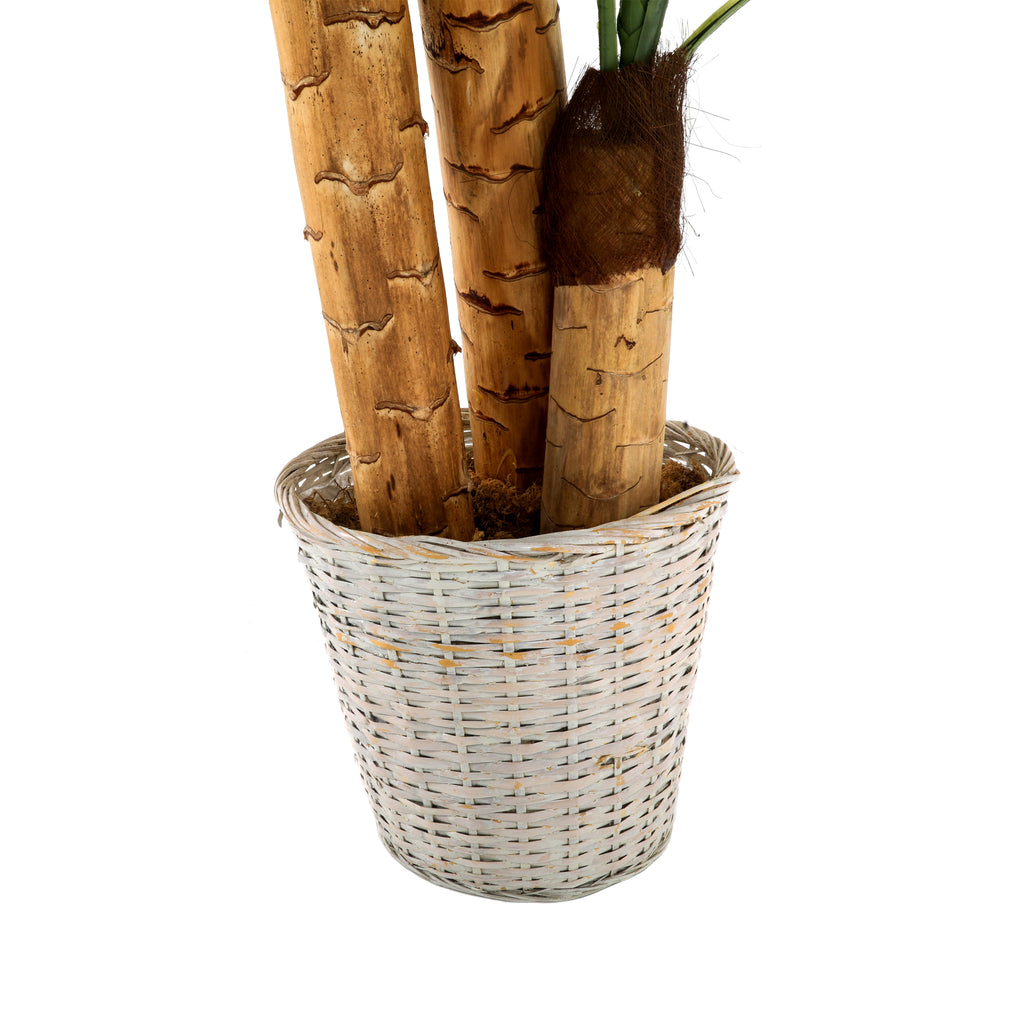 Faux Palm Tree in Wicker Planter #3