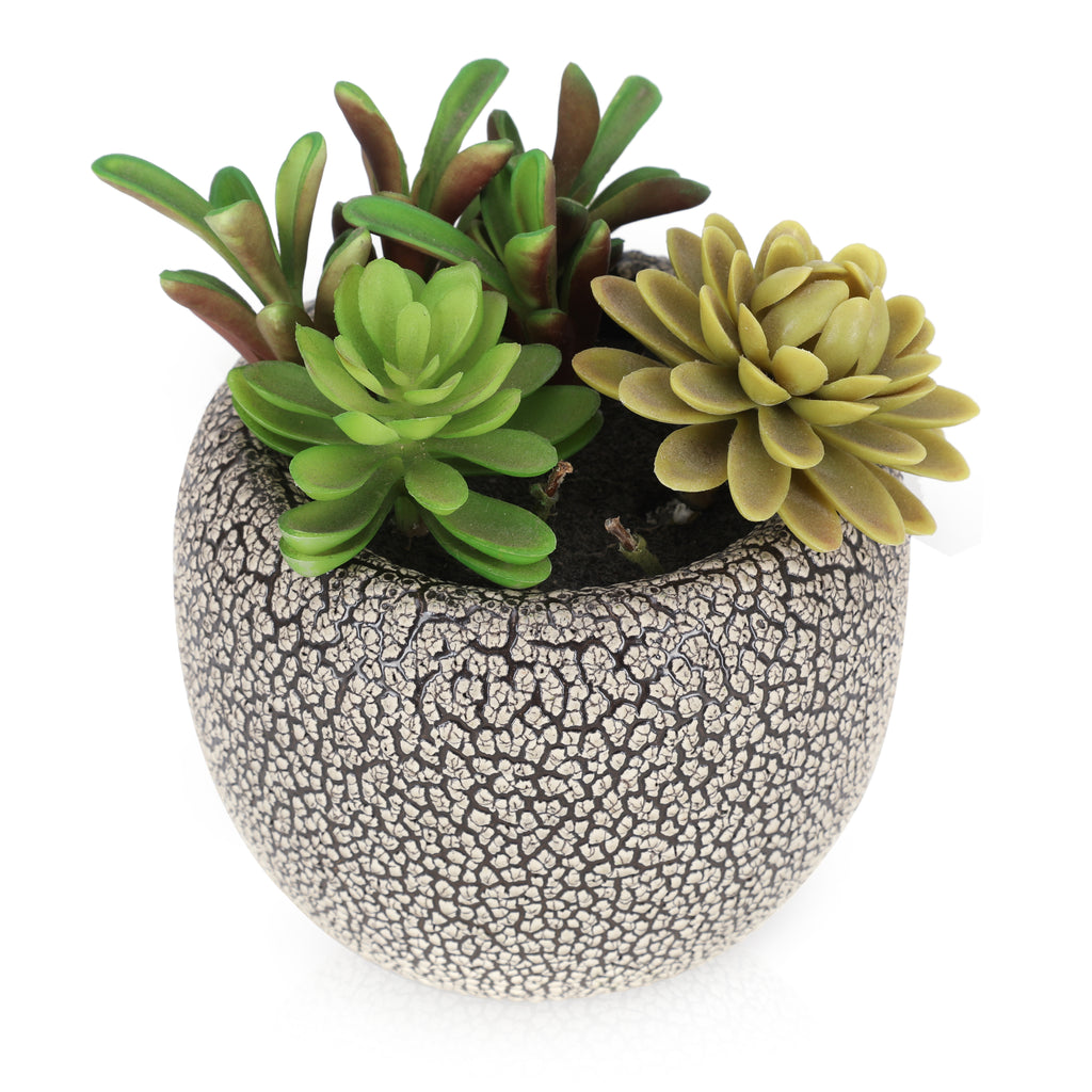 Small Textured Planter w/ Faux Succulents