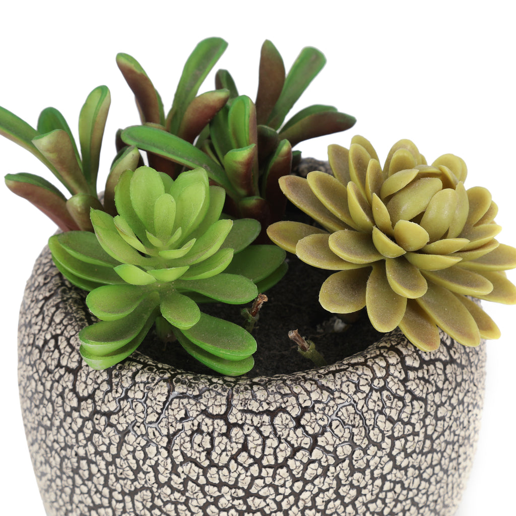 Small Textured Planter w/ Faux Succulents