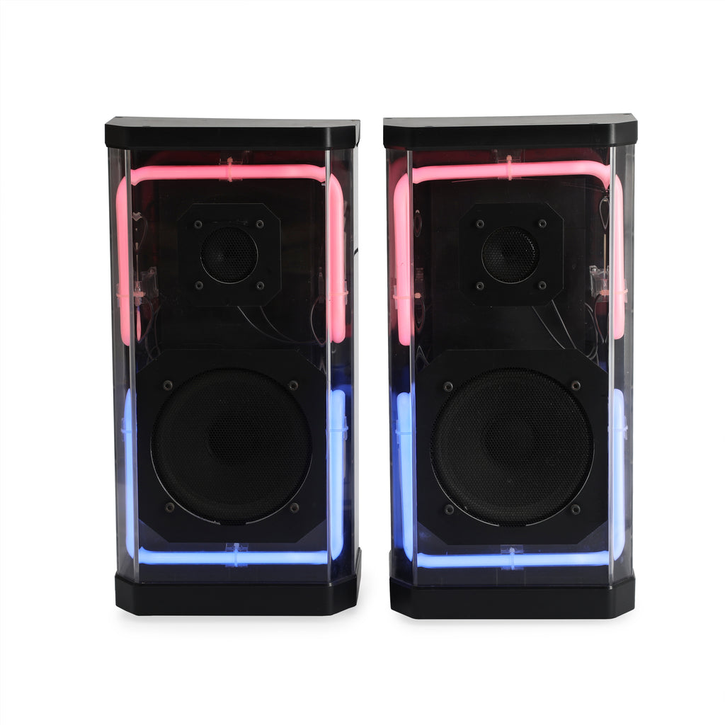 Pair Of Clear Neon Speakers