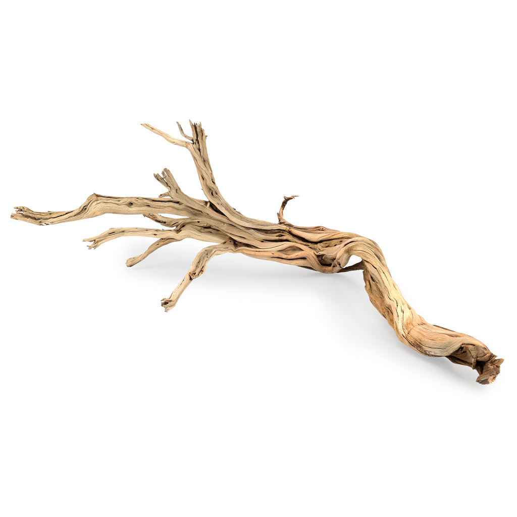 Large Light Driftwood