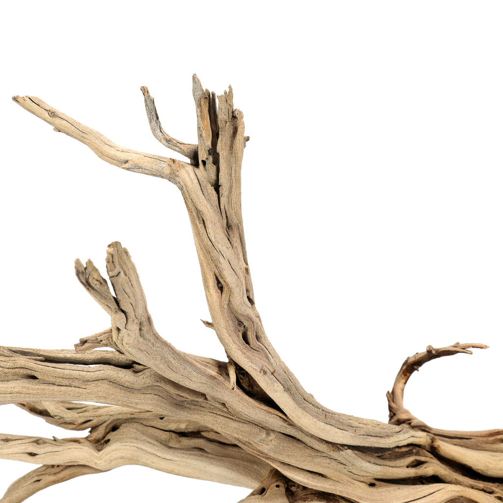 Large Light Driftwood