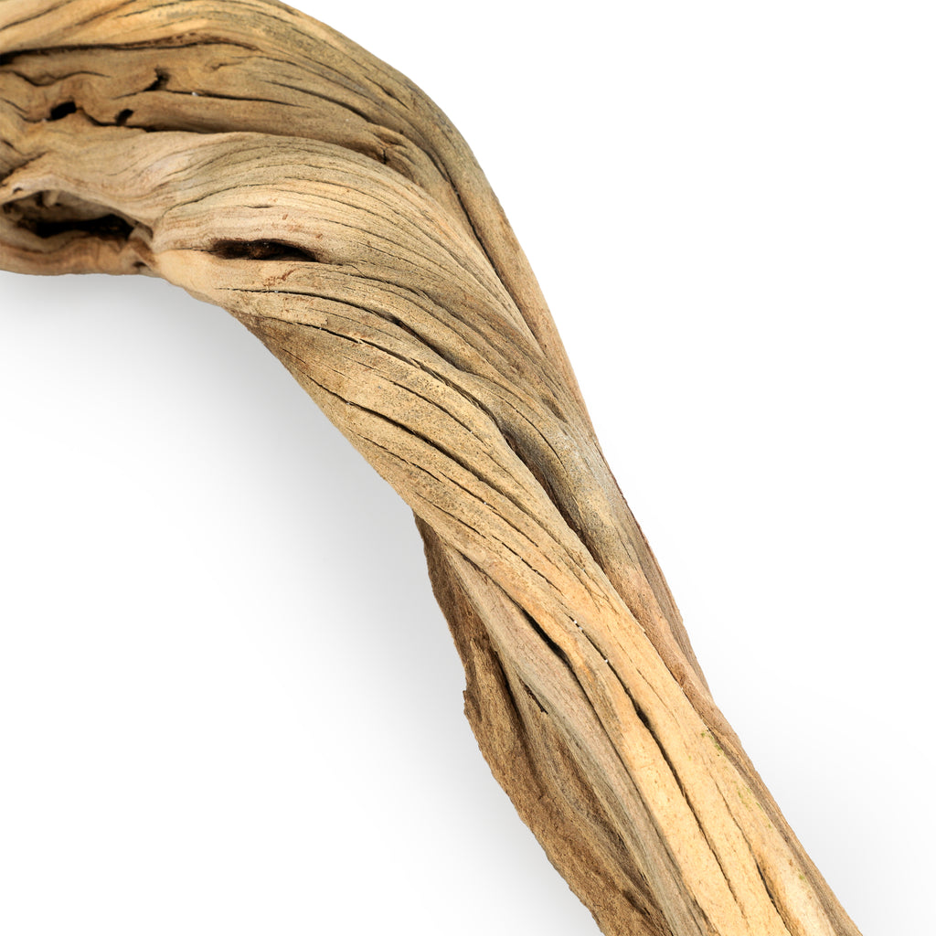 Large Light Driftwood