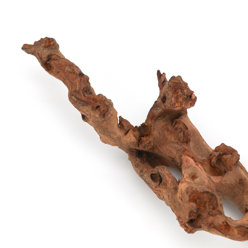 Small Driftwood Pieces