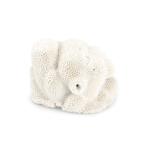 Large White Coral #1
