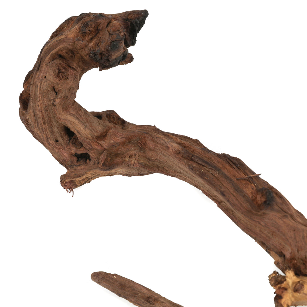 Small Driftwood Pieces