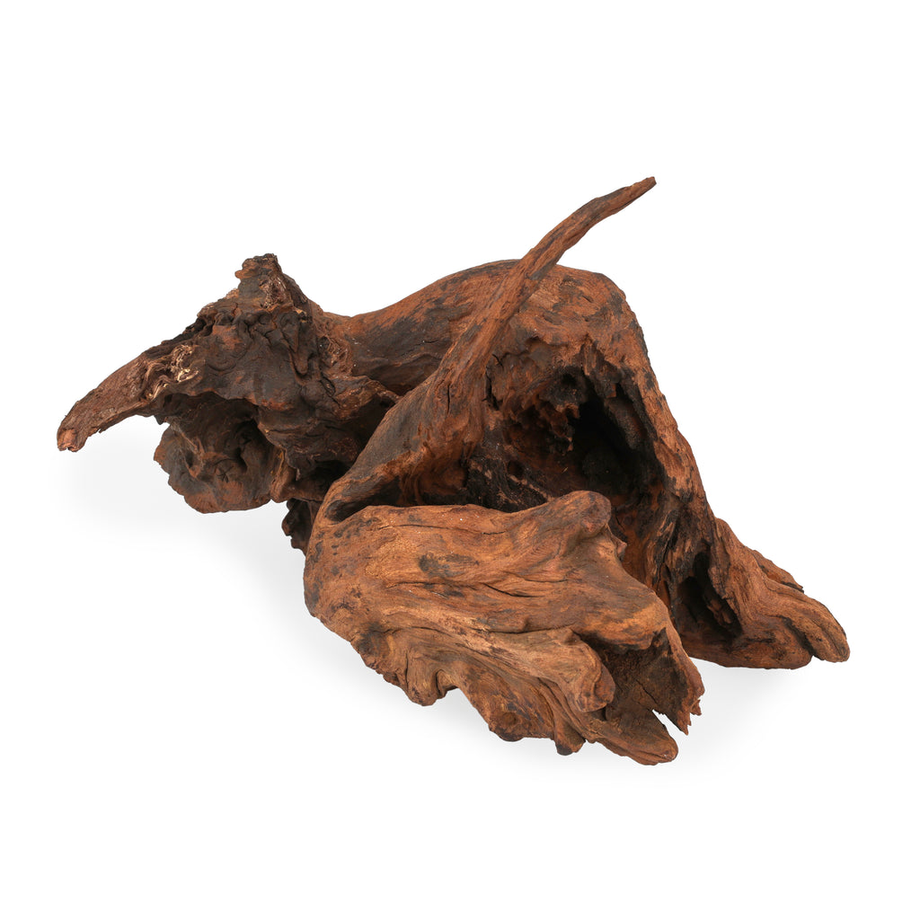 Medium Dark Driftwood #1