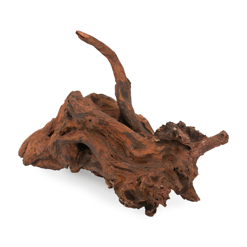 Medium Dark Driftwood #1