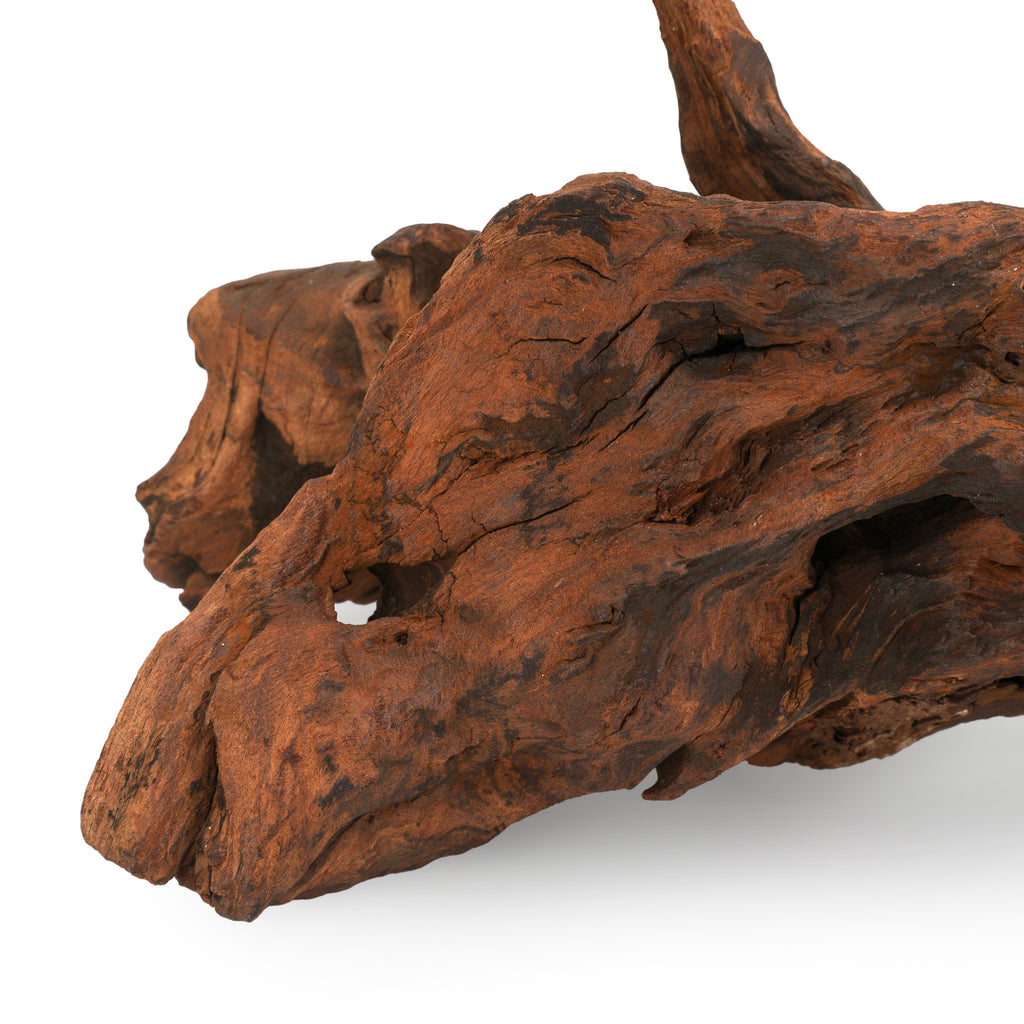 Medium Dark Driftwood #1
