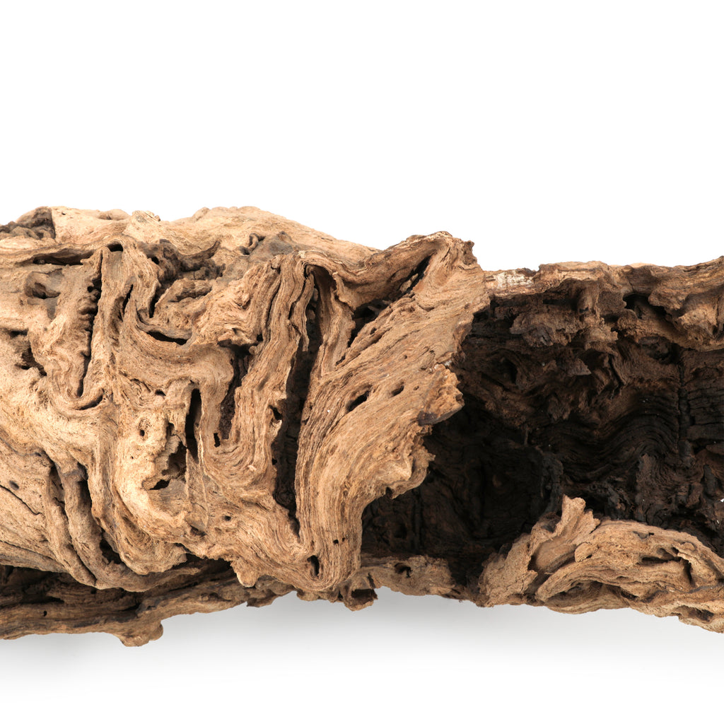 Large Hollow Driftwood