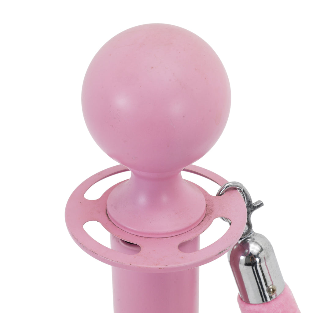 Pink Stanchion (Pair)