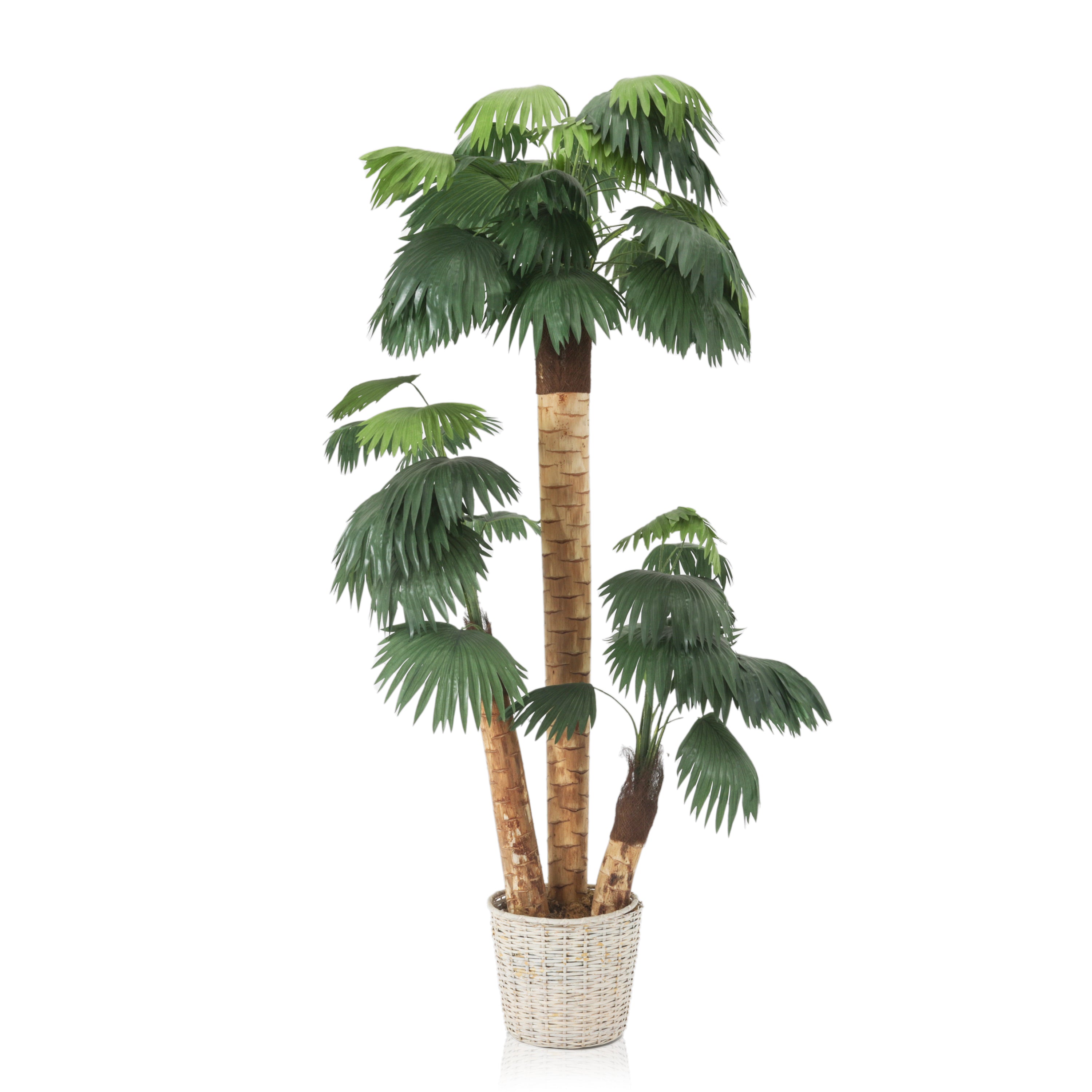 planter with palm tree Faux Palm Tree in Wicker Planter #1