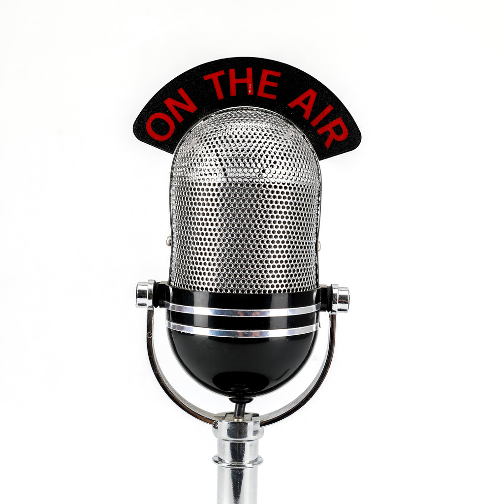 Black / Silver Plastic Novelty Toy Microphone