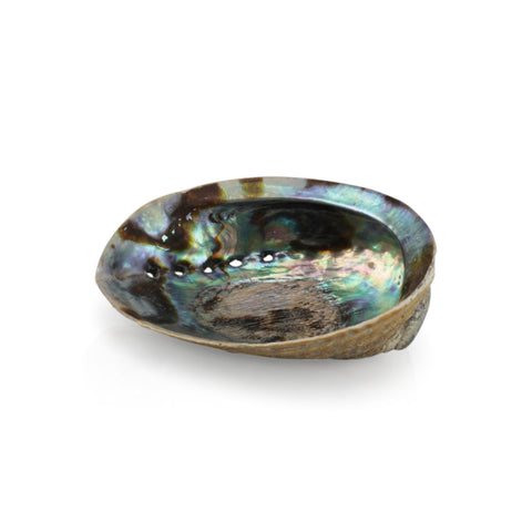 Iridescent Seashell Dish (A+D)
