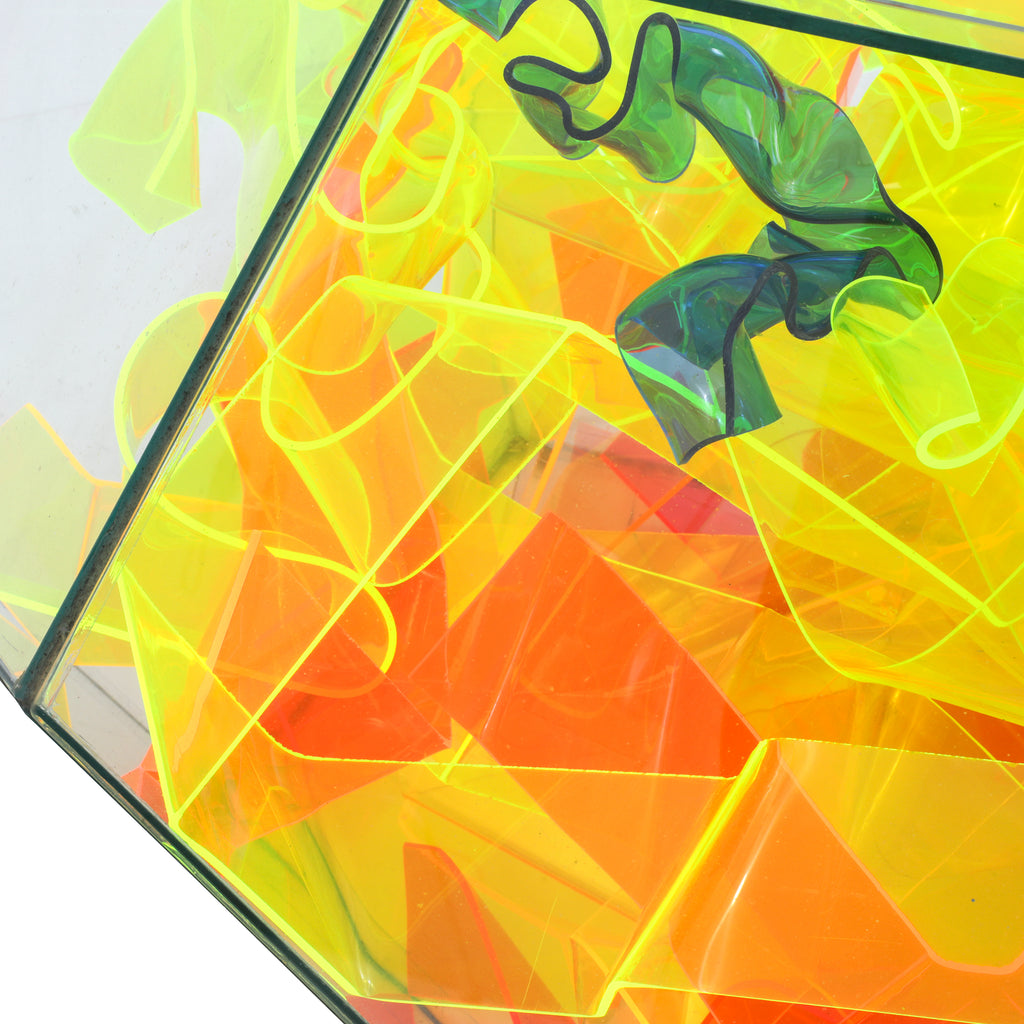 Squiggly Acrylic Neon Terrarium