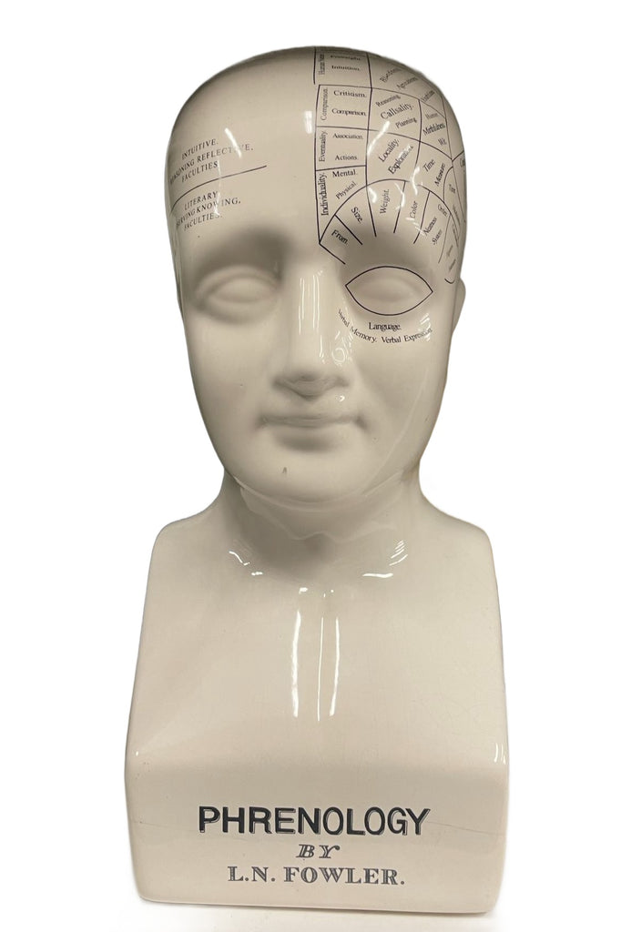 White Ceramic Phrenology Head Bust by L.N. Fowler