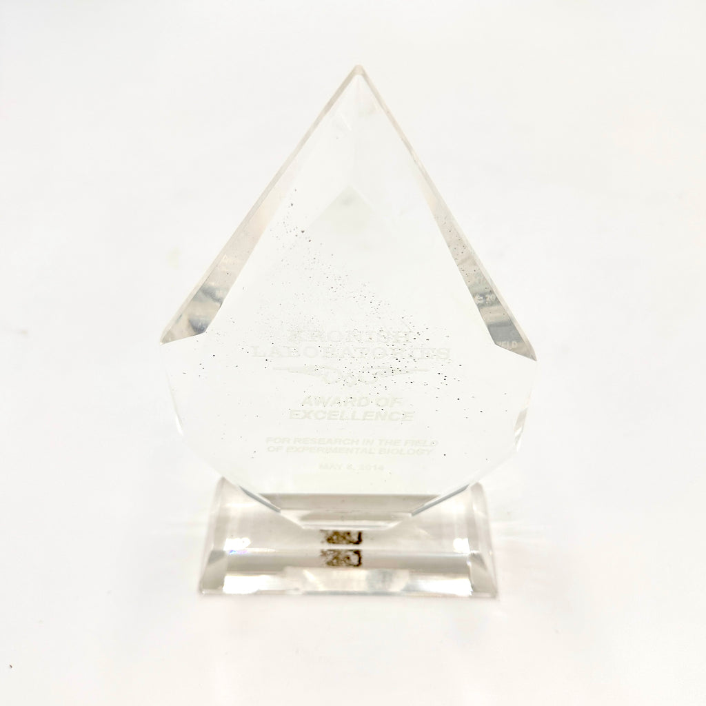 Faceted Glass Etched Award