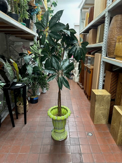 Faux/Fake Green Schefflera Plant in Chartreuse Urn Planter