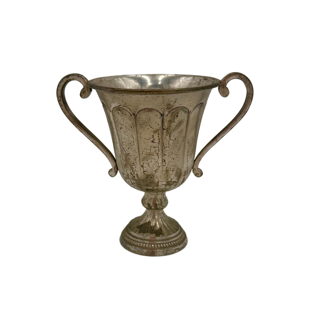 Silver Trophy Cup 5" (A+D)