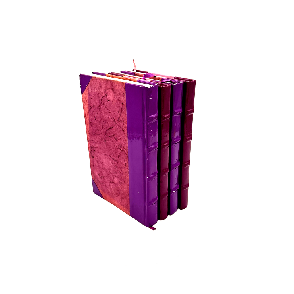 Fuchsia Decorative Books
