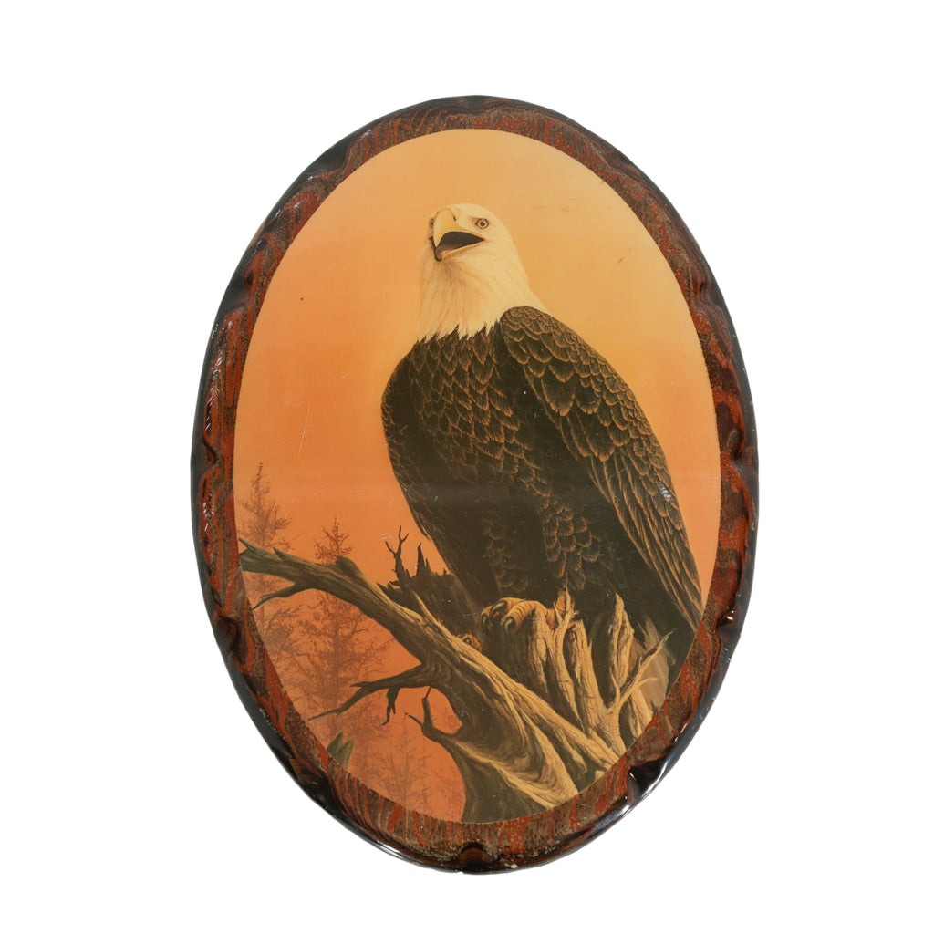 Oval Wood Framed Bald Eagle