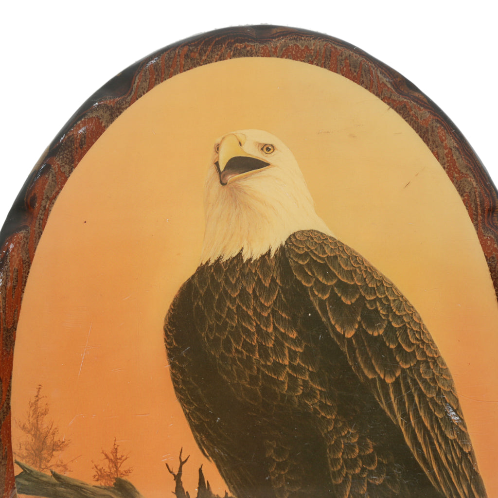Oval Wood Framed Bald Eagle