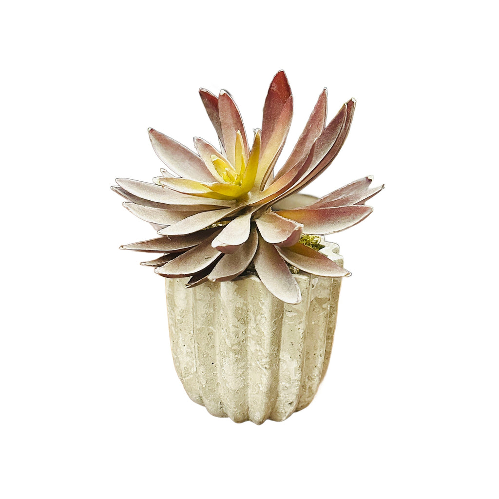Faux Succulent in Fluted Beige Concrete Pot