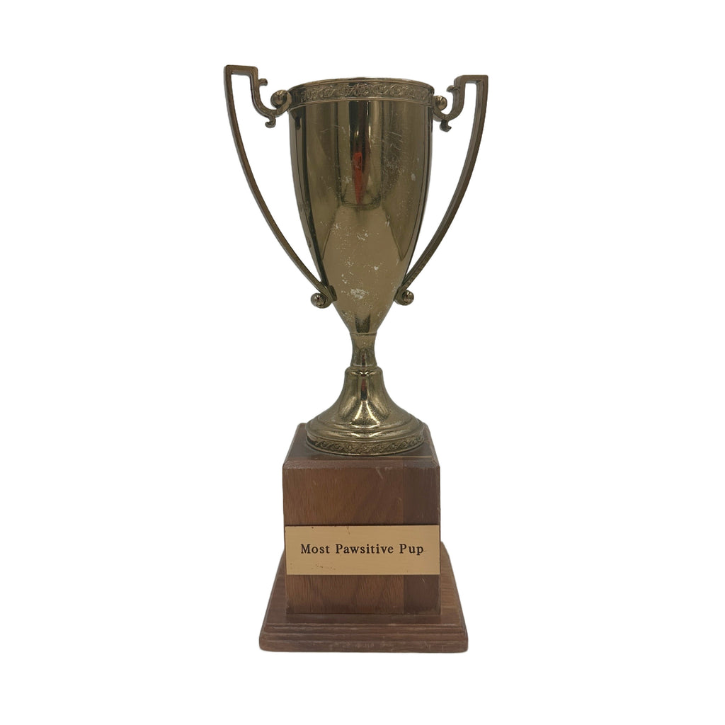 Brass Trophy Cup 11" (A+D)