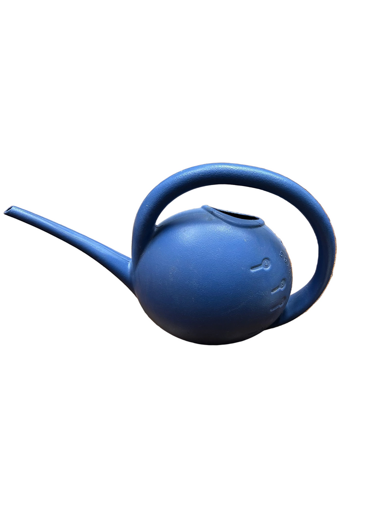 Blue Plastic Watering vessel