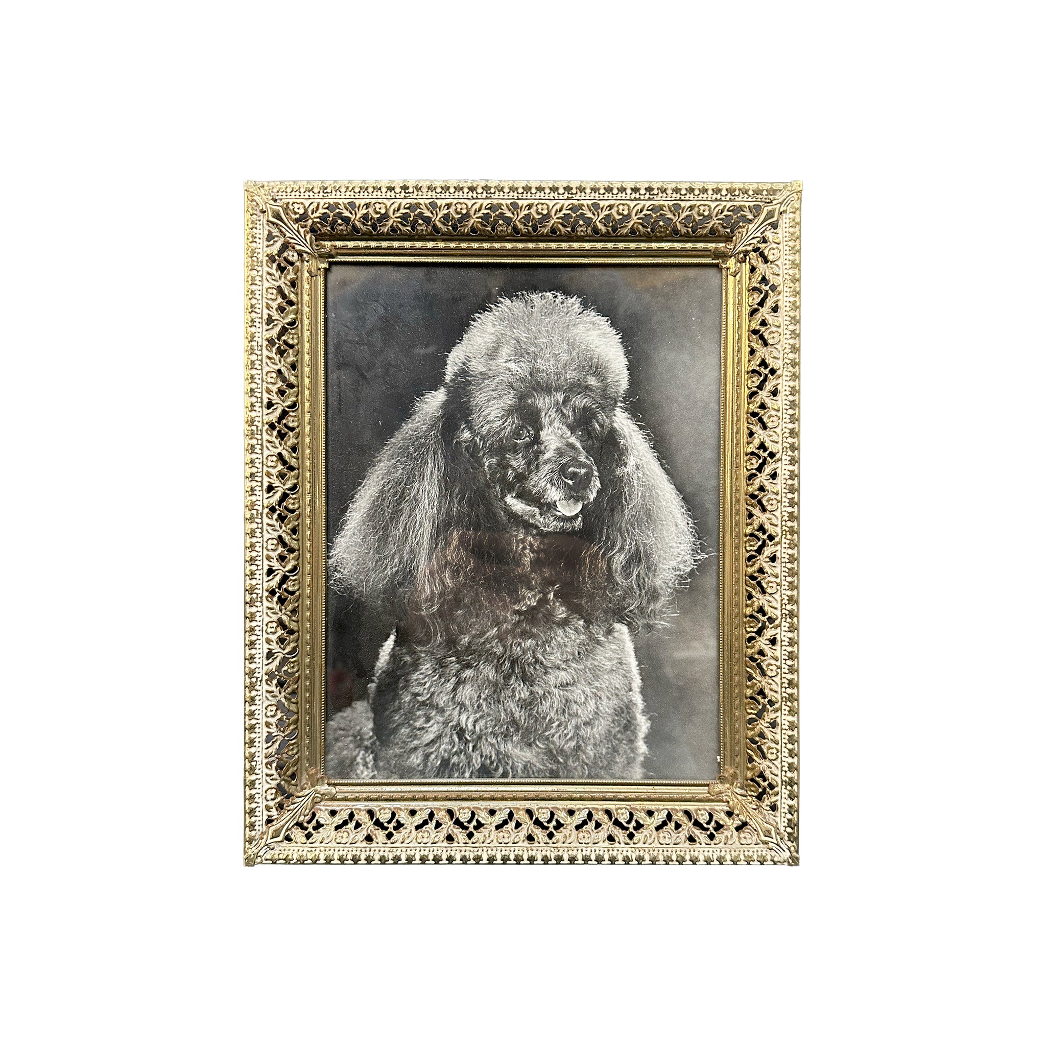 Gold Frame Poodle Art (A+D) - Gil & Roy Props