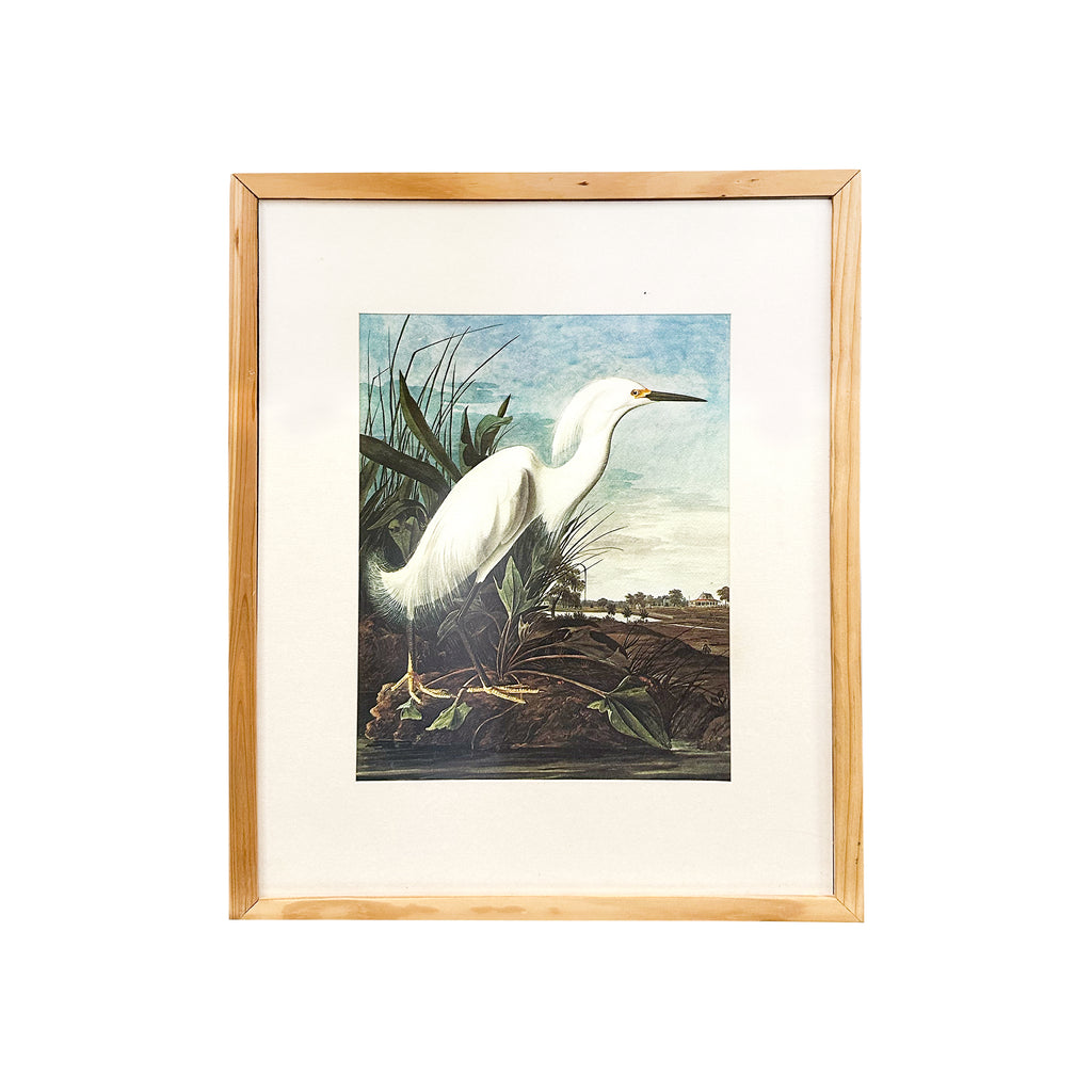 (A+D) White Egret on Beach