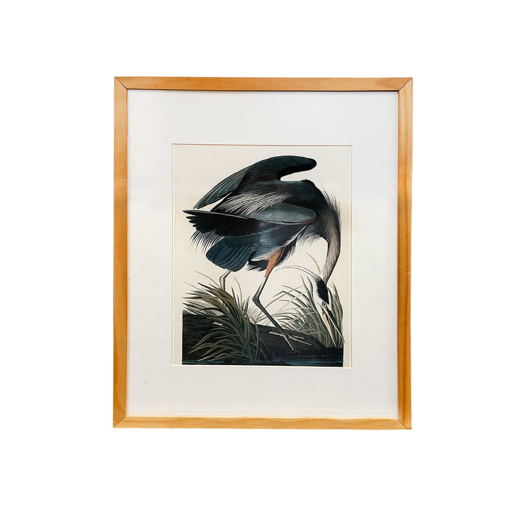 (A+D) Blue Heron on Beach
