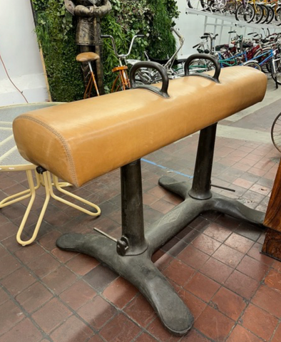 Gymnastics Pommel Horse