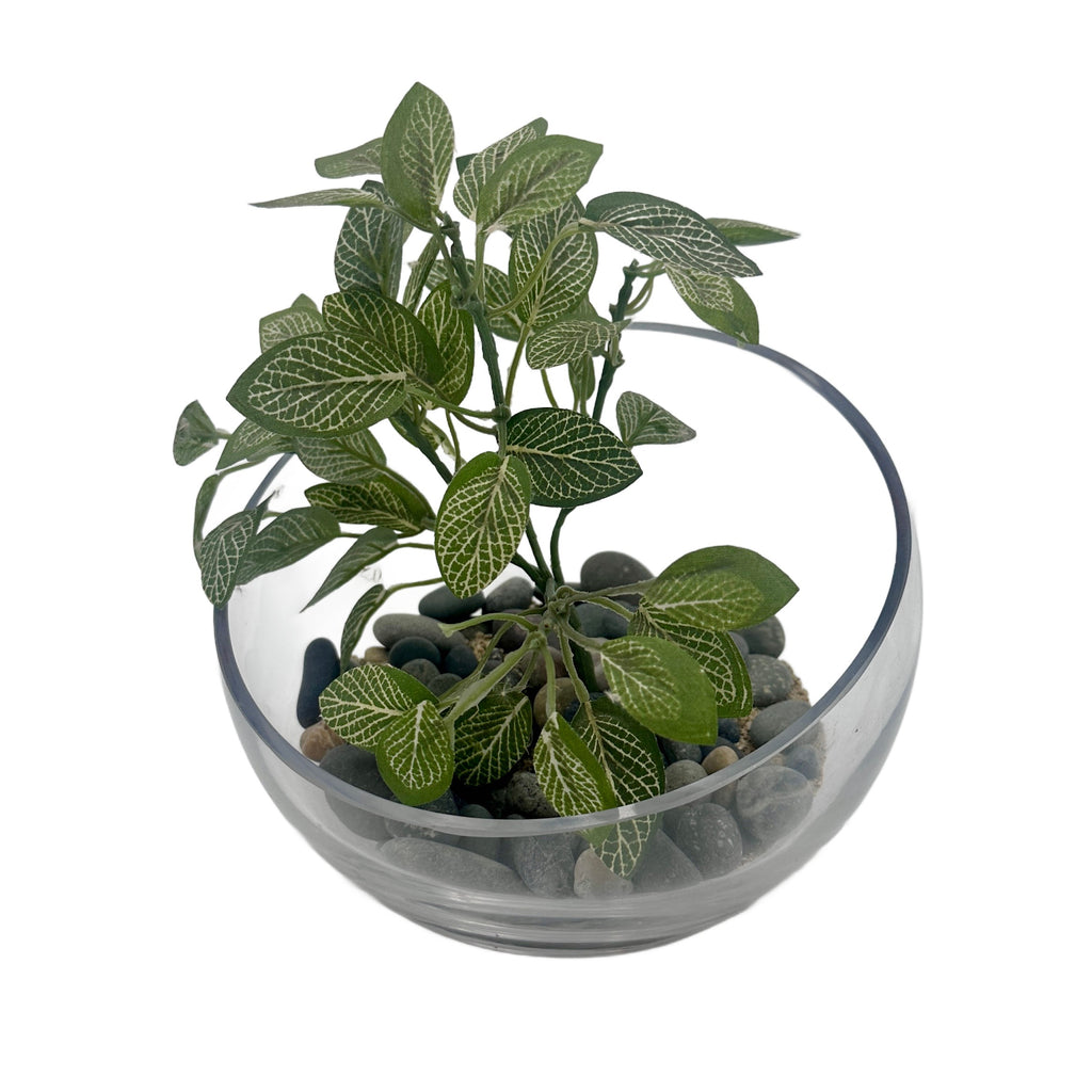 Clear Glass Bowl Artificial Fittonia Plant Terrarium