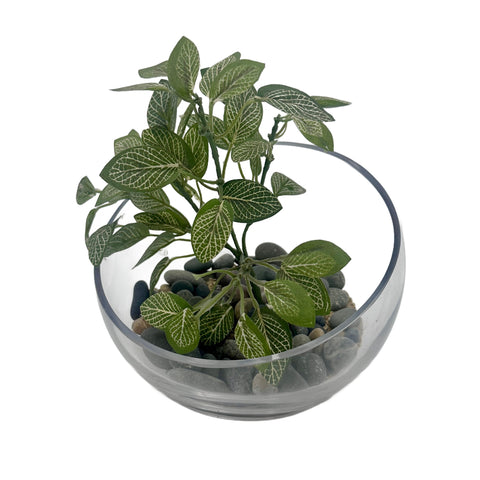 Clear Glass Bowl Artificial Fittonia Plant Terrarium