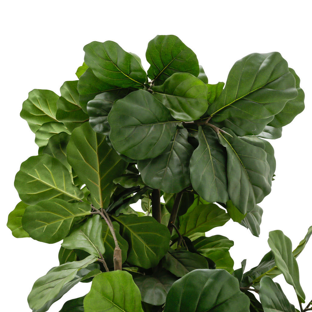 Tall Artificial Fiddle-Leaf Fig Tree