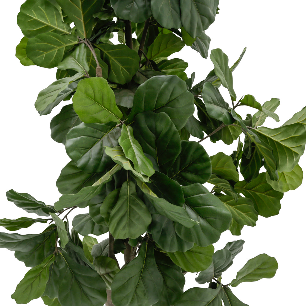 Tall Artificial Fiddle-Leaf Fig Tree