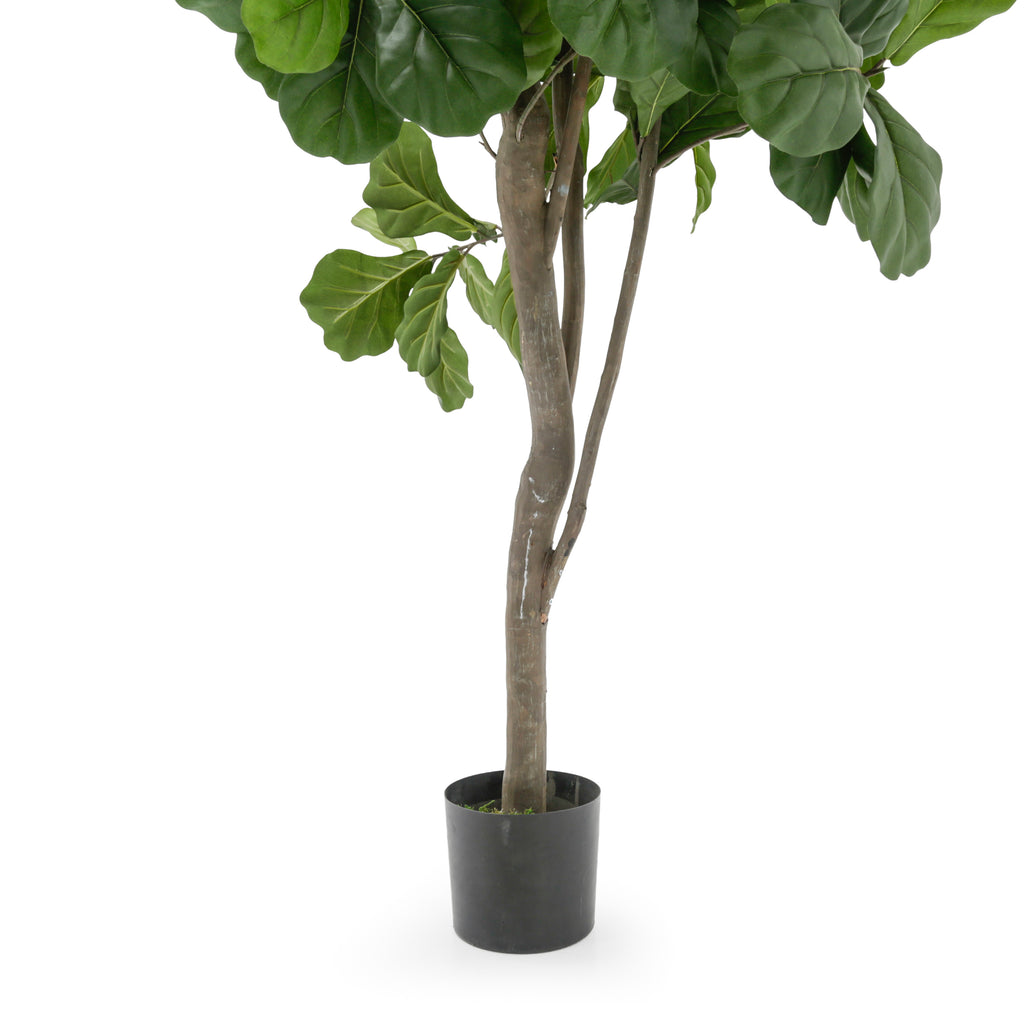 Tall Artificial Fiddle-Leaf Fig Tree