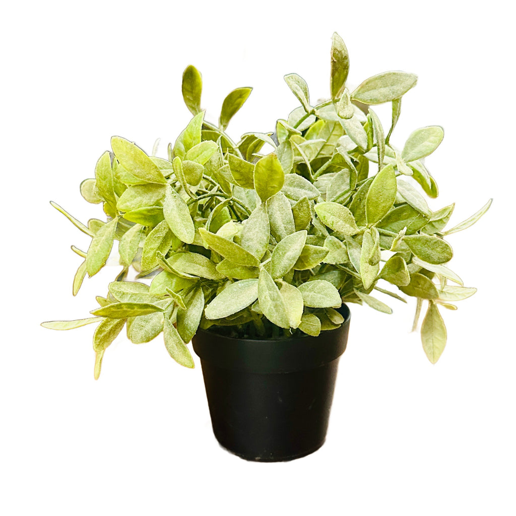Faux Leafy Green Plant in Black Plastic Pot