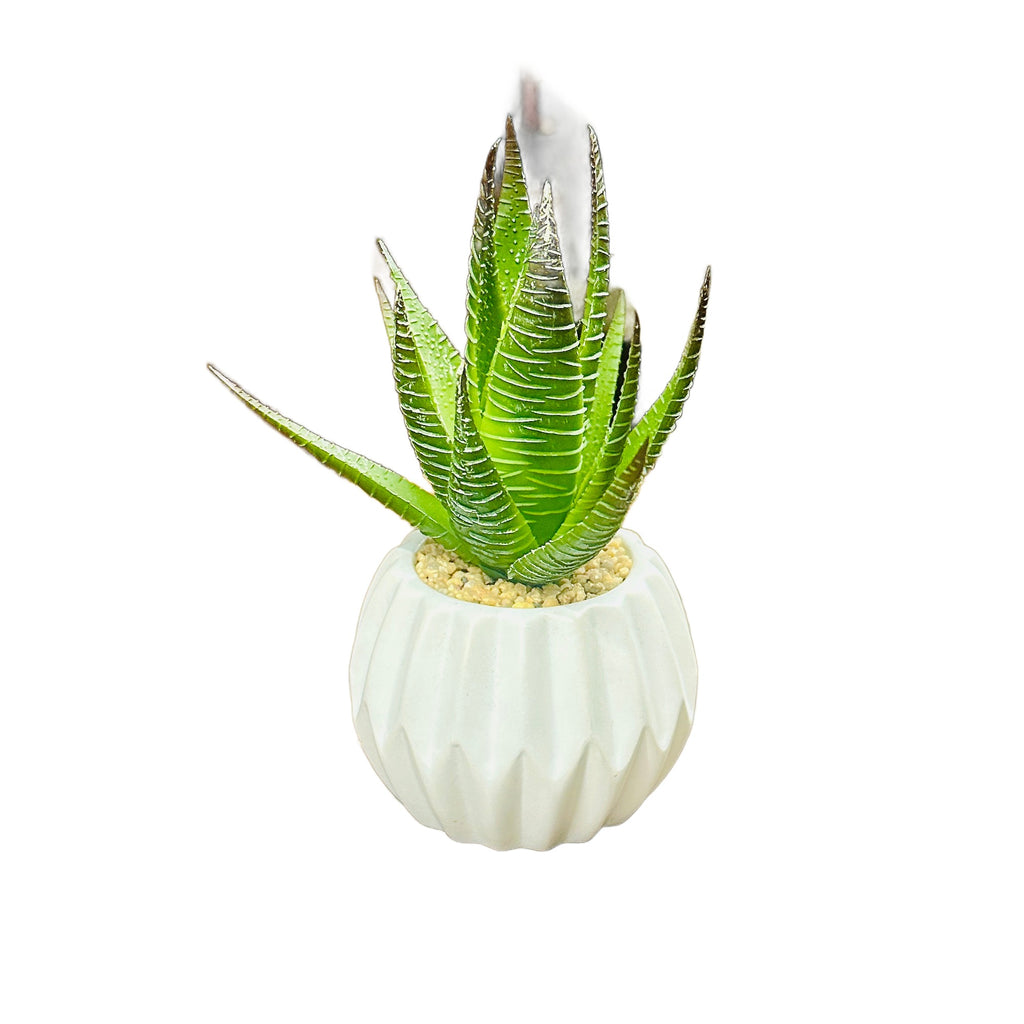 Faux Striped Succulent in White Faceted Ceramic Pot