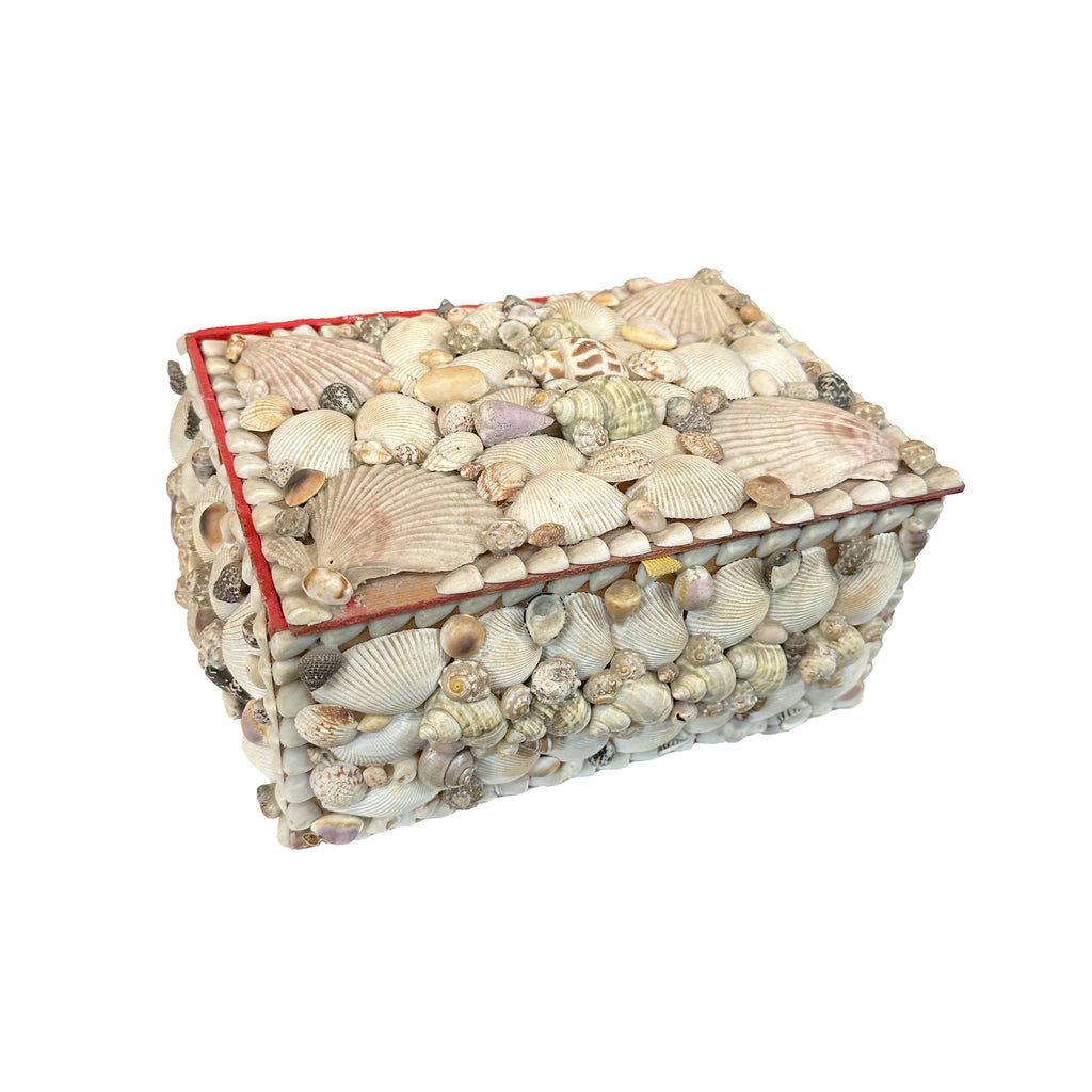 Sea Shell Trinket Box
