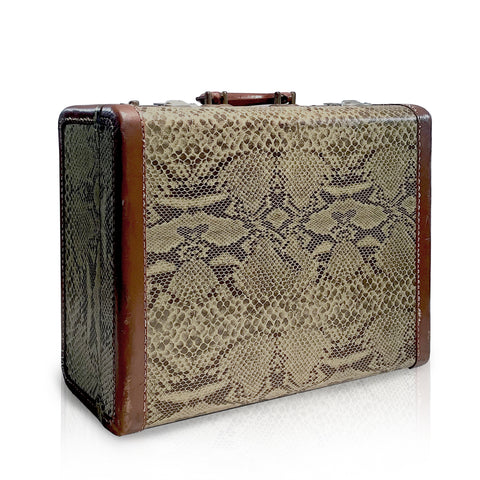 Snake Skin Suitcase